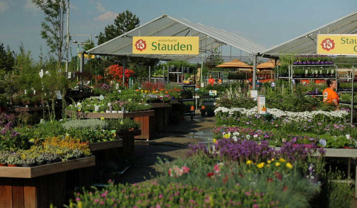 Schley Essen Stauden