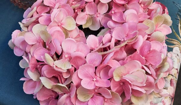 schley_essen_seidenblumen_0625