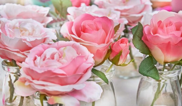 schley_essen_seidenblumen_0625_01