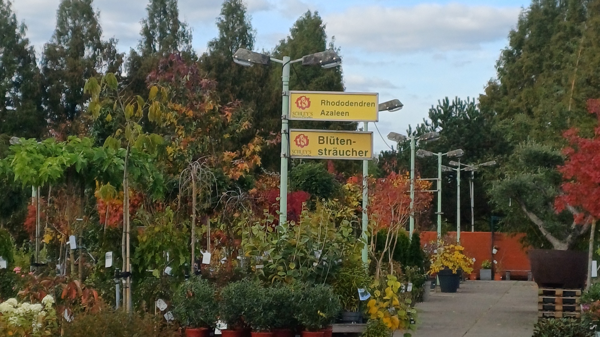 Baumschule - Schley Essen