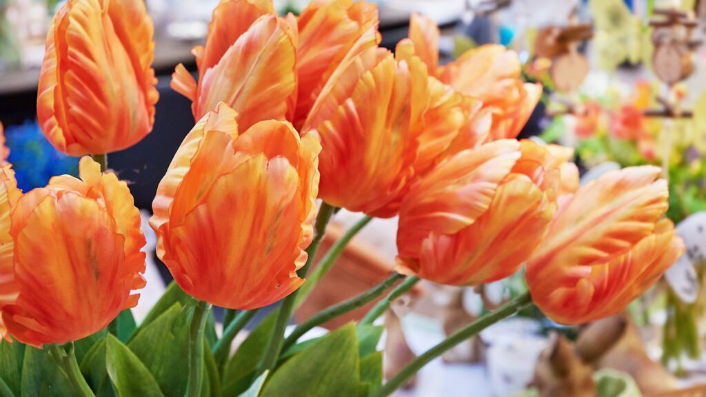 wir-haben-auch-jeden-sonntag-fuer-sie-geoeffnet