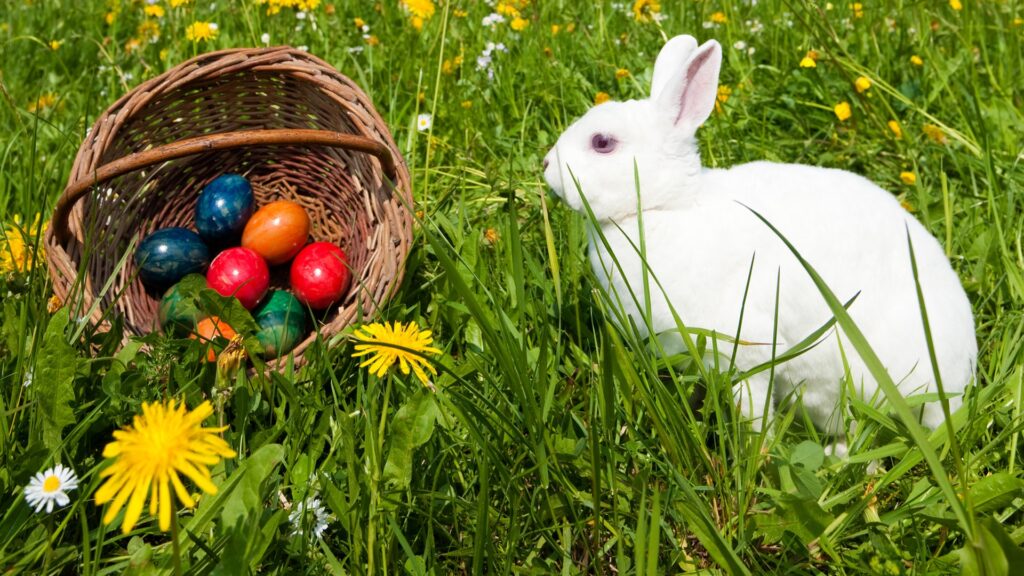 buntes-ostereiersuchen-fuer-kinder
