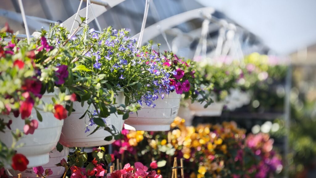 ueppige-blumenampeln